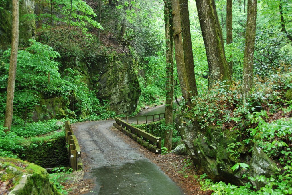Roaring Fork Motor Trail | Best scenic driving trails near Gatlinburg, TN
