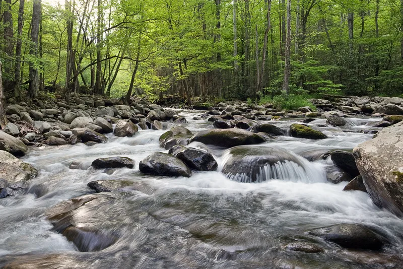 Greenbrier | Best scenic driving trails near Gatlinburg, TN