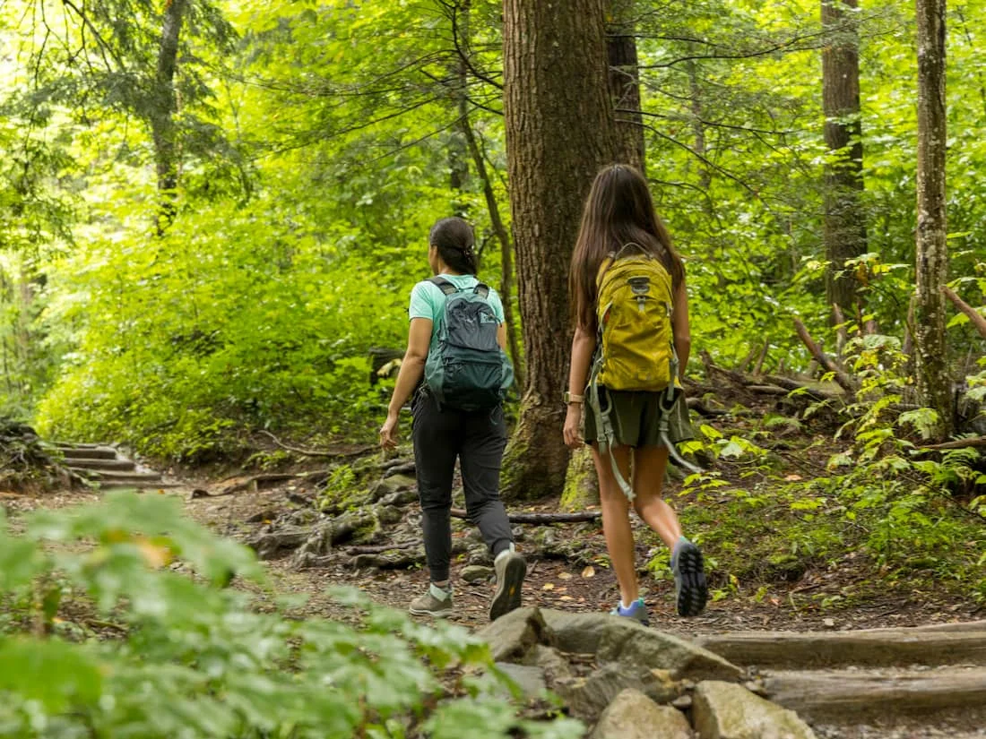 Hiking in Gatlinburg During Spring Break