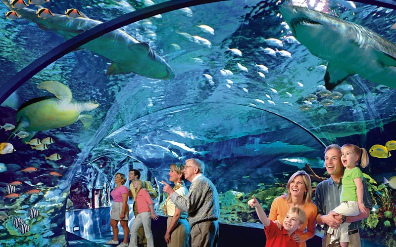 Ripley's Aquarium of the Smokies