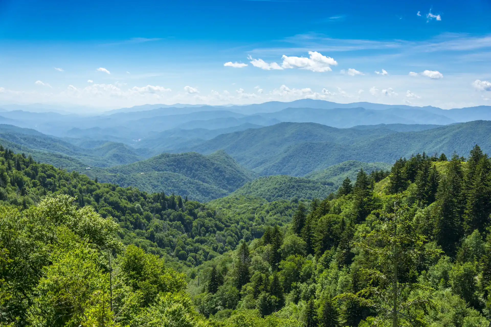 Scenic Smoky Mountain valley view, ideal for family spring break activities