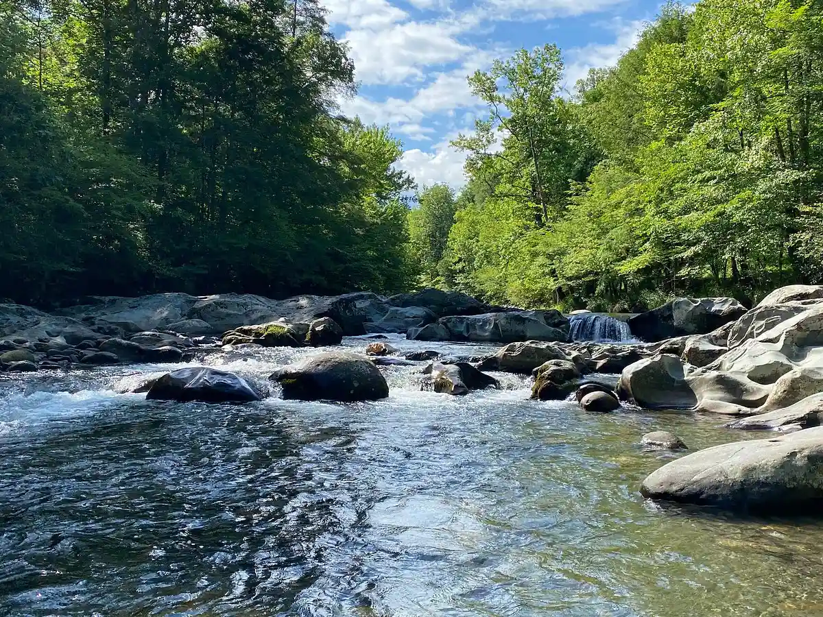 Middle Fork of the Little Pigeon River in the Greenbrier area