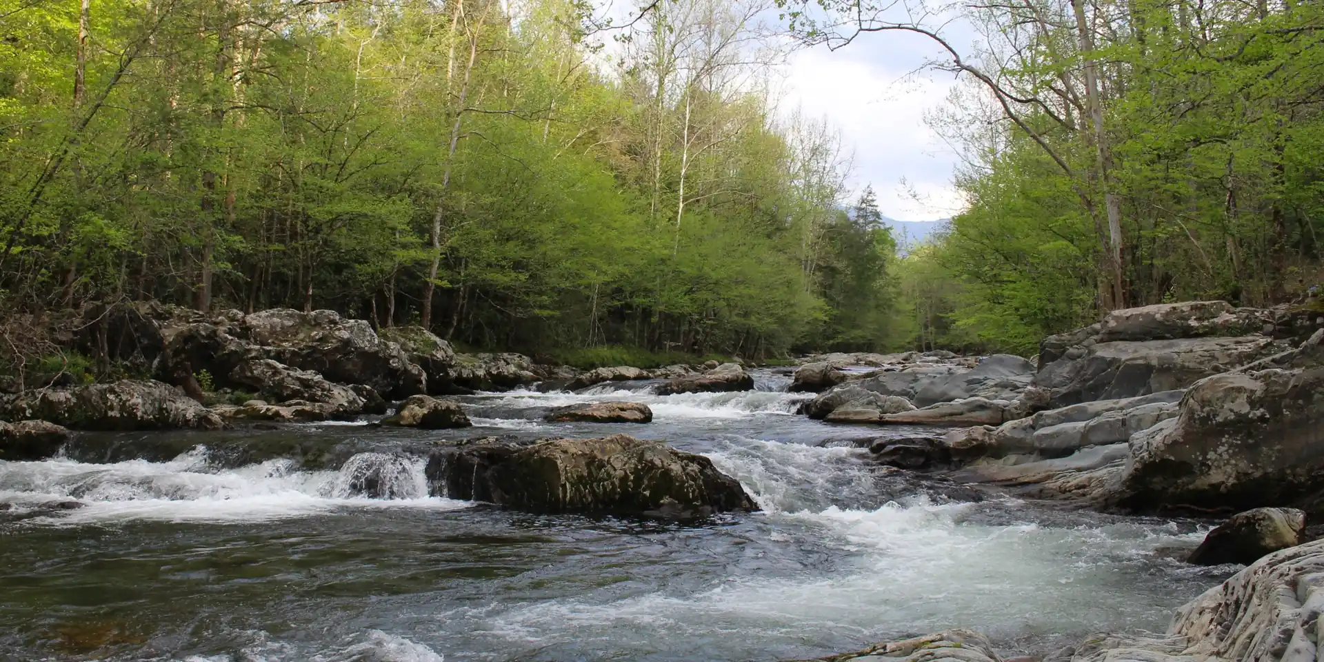 The Little Pigeon River rapids in the Greenbrier area of the Smokies
