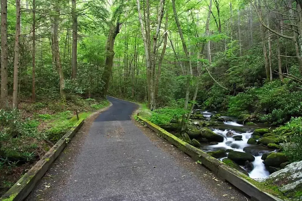 7 Most Scenic Drives near Gatlinburg, Tenessee