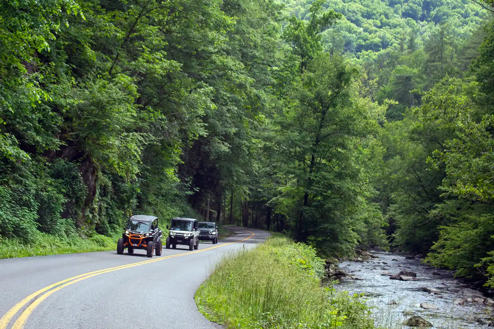Winding mountain road through Great Smoky Mountains near Gatlinburg