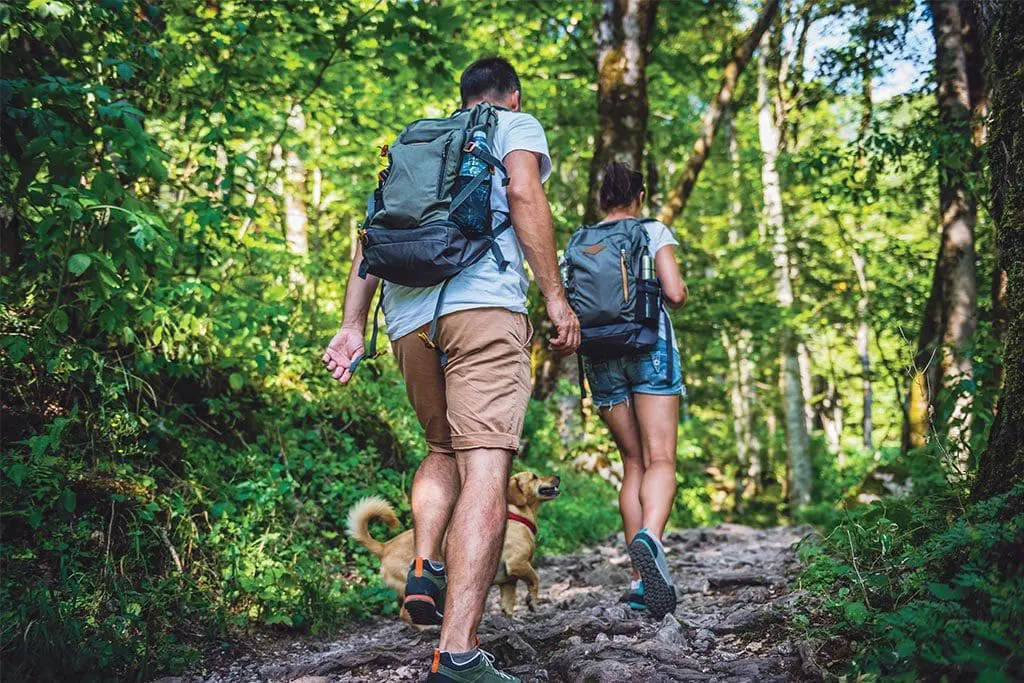 Hikers at the Gatlinburg Trail