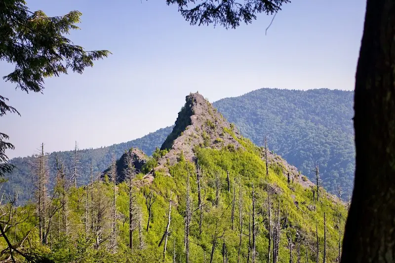 Chimney Tops Summit