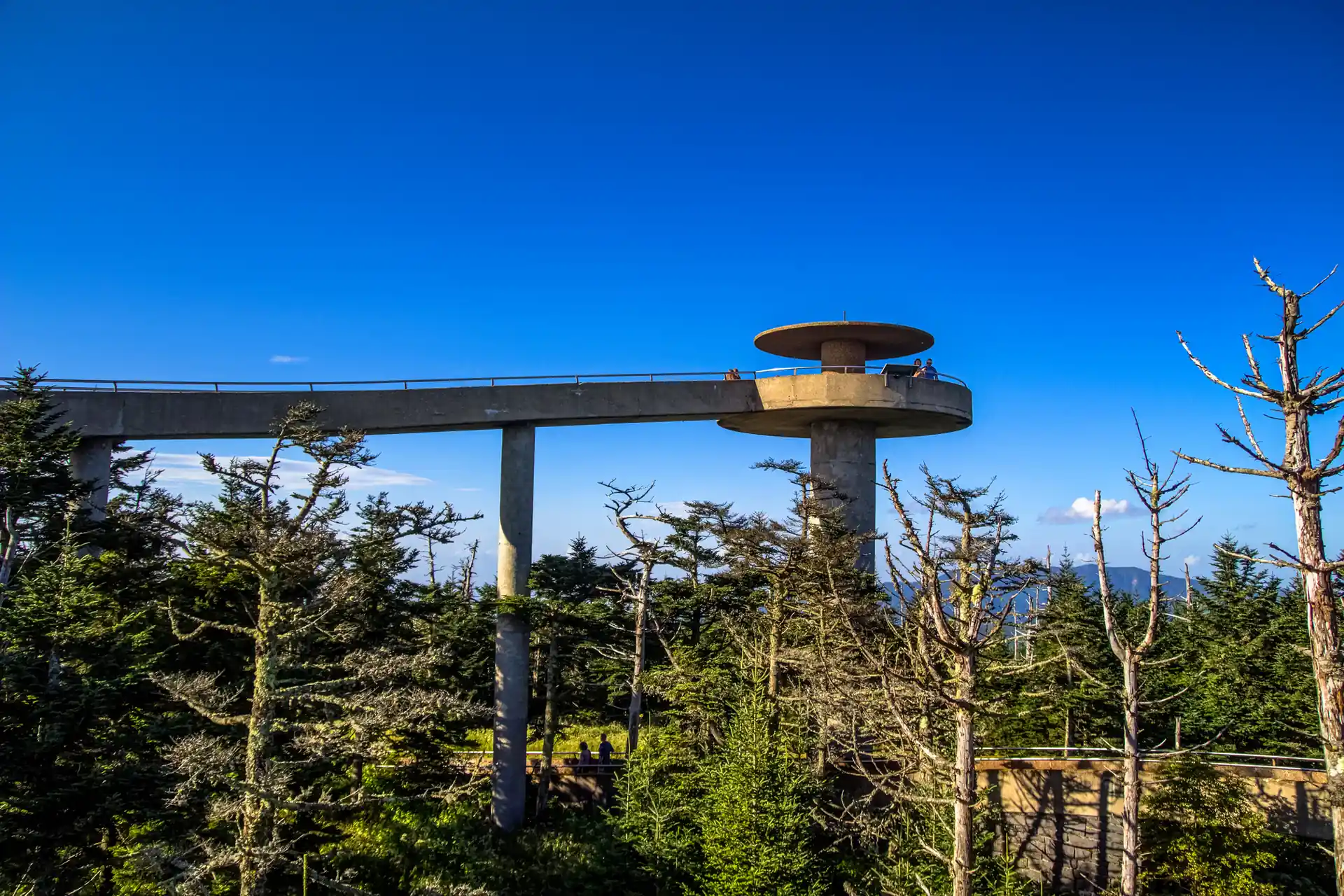 Clingmans Dome Overlook, an educational Great Smoky Mountains stop near Gatlinburg