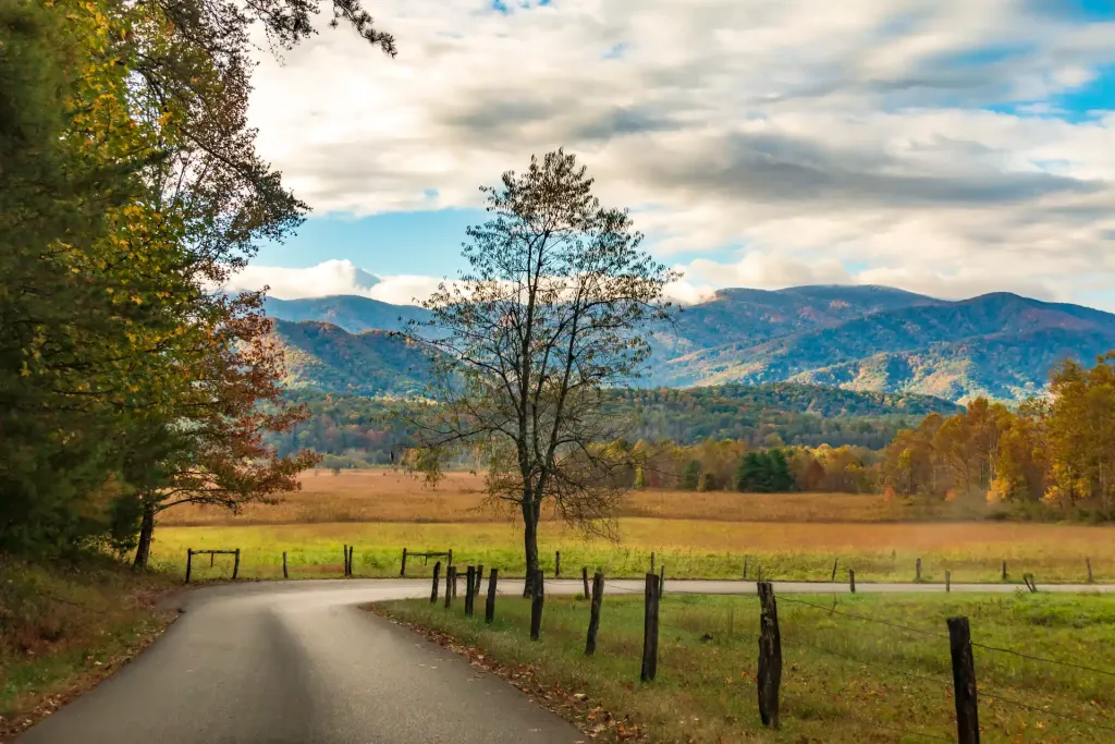 cades cove valley fall foliage great smoky mountains