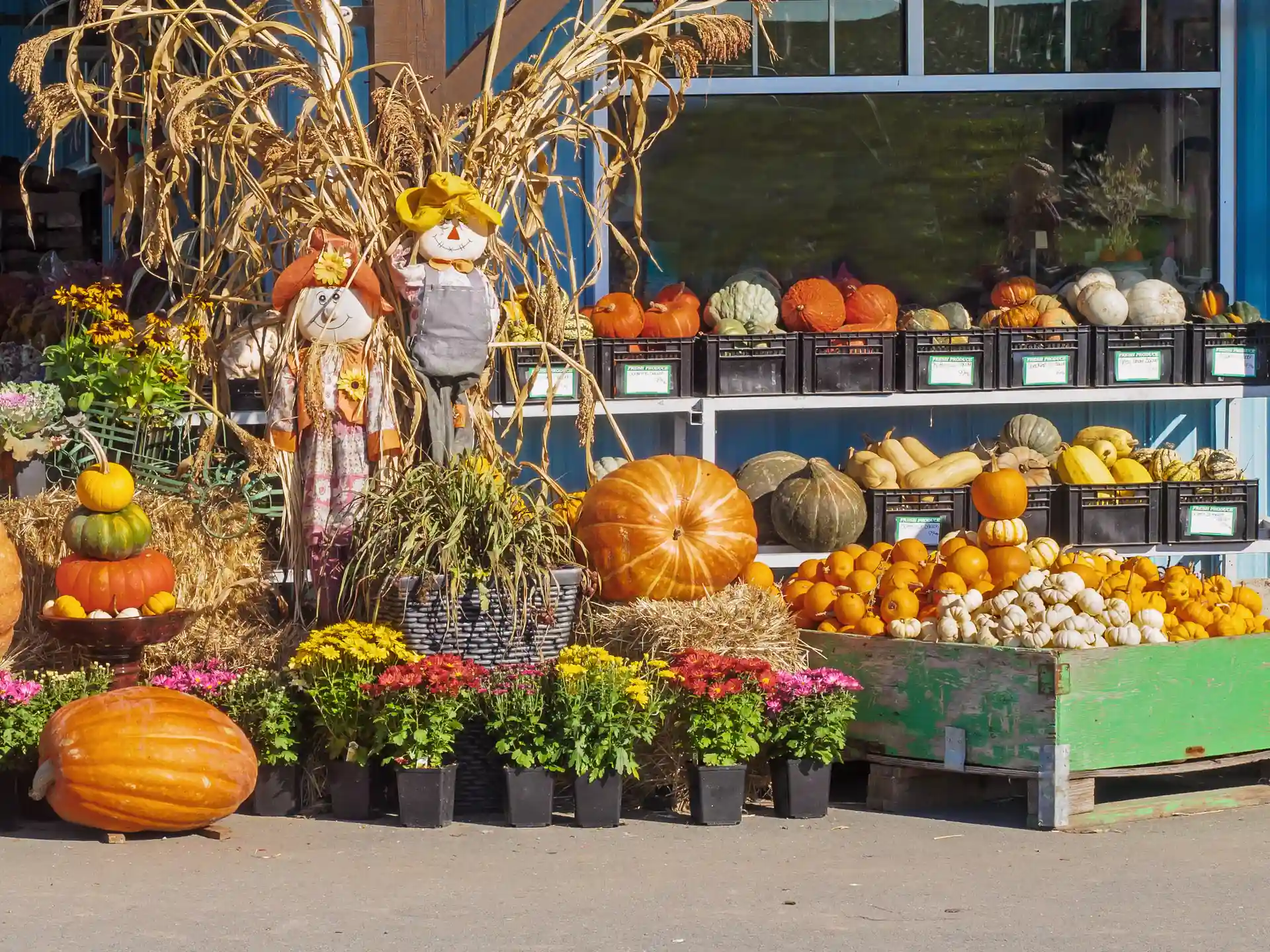 Fresh produce display at the Gatlinburg Farmers Market during the fall season