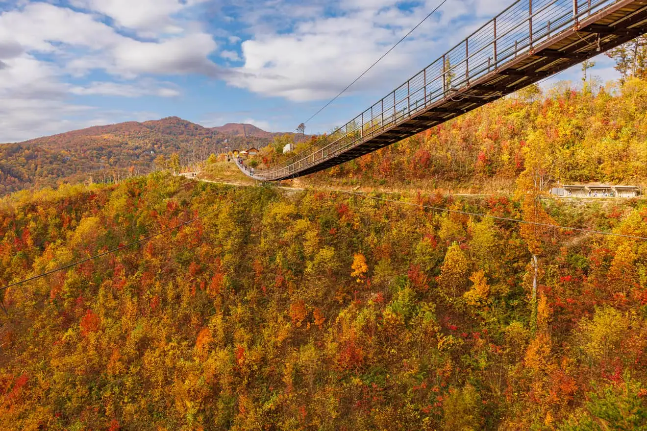 Gatlinburg SkyBridge suspended above a hillside of vivid fall foliage